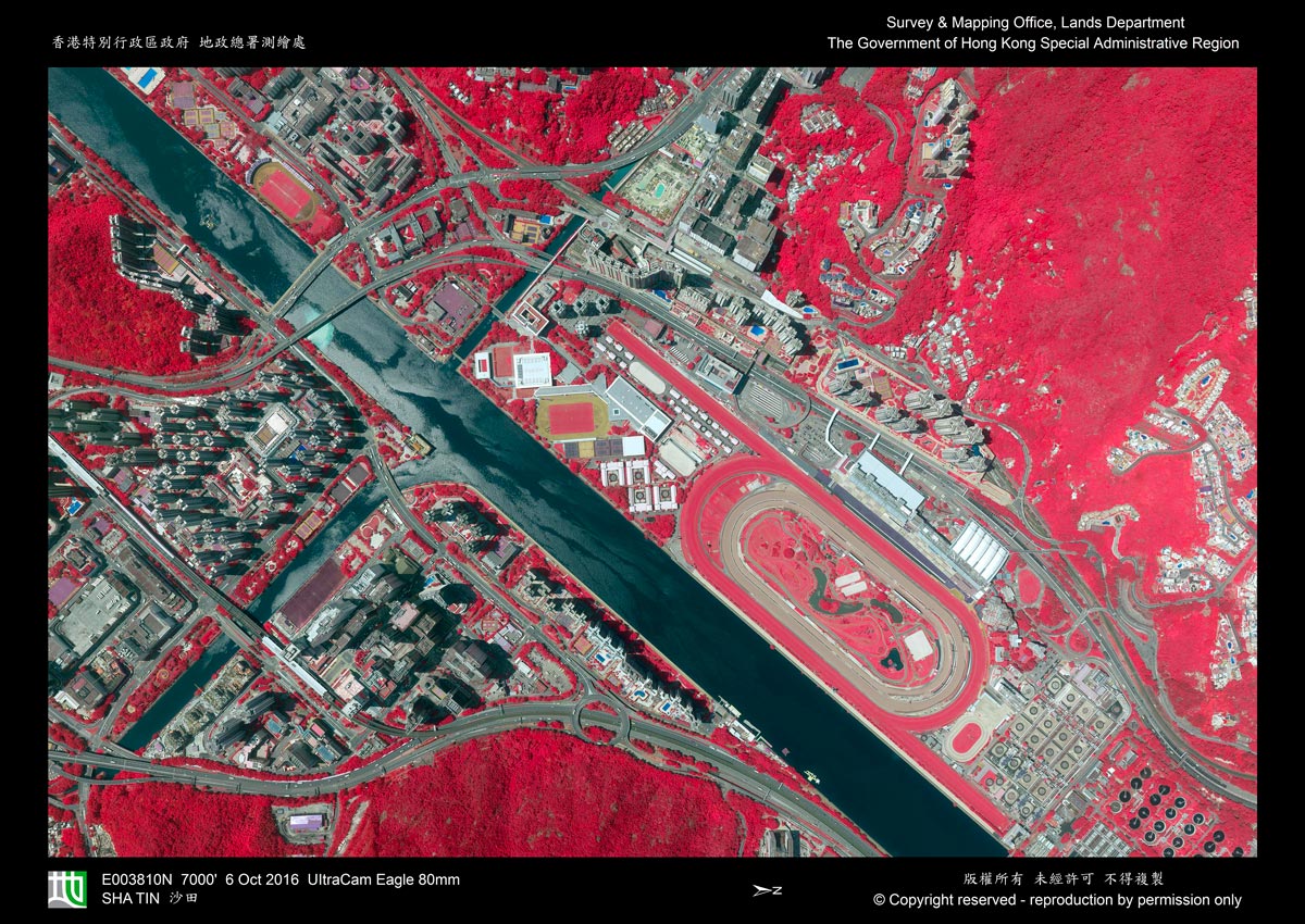 DAP-L0_CIR 偽色紅外線航空照片 - 垂直 （全幅）