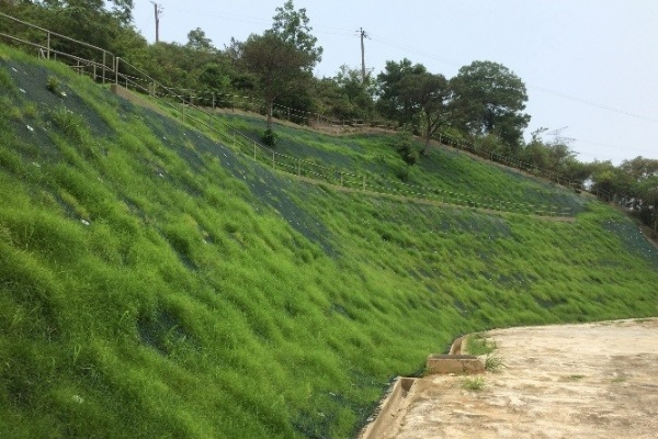 Slope after completion of improvement works