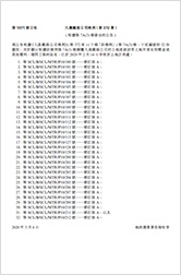 屯馬線 1 期 (2020)