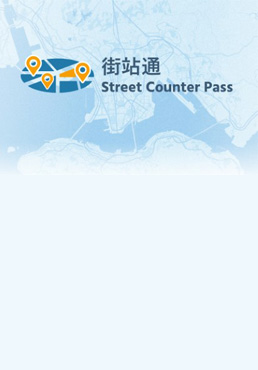 Street Counter Pass Website